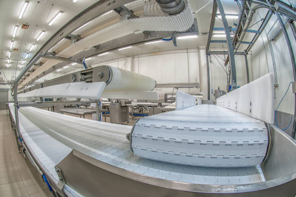 Cold chain conveyor belt