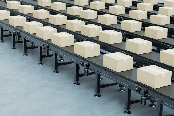 steel-cord-conveyor-belt-cross-section